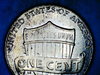 2014 D Penny 003.JPG