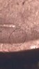 VIDEO0016_0000007634_1_2.jpg