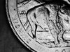 2010 Quarter 007.JPG
