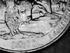 2010 Quarter 011.JPG