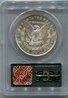1879S MS 64 Reverse.jpg