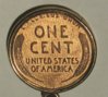 1909 back.jpg.JPG