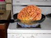 brain4485b[1].JPG