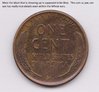 1919S beautiful rainbows back.jpg