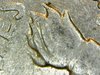 1970dime.jpg