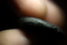 coin00000213.JPG