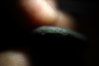 coin00000214.JPG