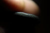 coin00000216.JPG