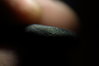 coin00000217.JPG
