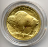 2008 Buffalo with Red Spots- Enlarged.jpg