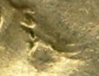 1967 Double Eye.jpg