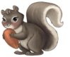 squirrel_hold_nut1.jpg