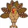 turkey2.jpg