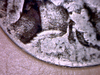 20151230_215453483.png