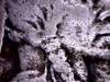 20151230_215438975.png