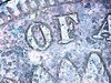 WIN_20160102_14_51_08_Pro.jpg