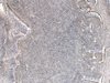 161414548848.jpg