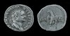 vespasian JA photos.jpg