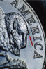 2005D5cBisonDieBreakW.jpg