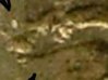 1943 extra Sta cropr.jpg