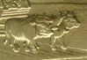 2006 Nebraska 2 Cows.jpg