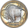 1916-dd r.jpg