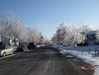 dscn0884.jpg