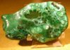 P1010020b CU.jpg