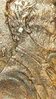 20160203_180214.jpg