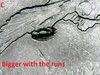 Picture 003-3.jpg