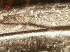 Picture 005-5.jpg
