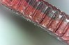 S20160210_0049.jpg