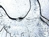 goble-4.jpg