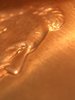 1994 D Nose.JPG