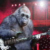 funky_monkey.gif