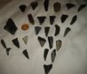 Shark Teeth.jpg