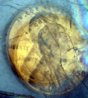 1989 double image calcite.jpg