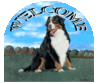 welcome06logo.gif