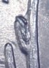 2008 P Arizonia 2.jpg