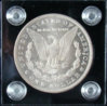 Morgan Dollars 002.jpg