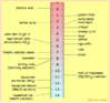 639px-PH_scale.png