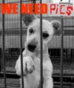 WeNeedYou.jpg