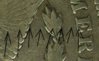 Crop 3.jpg