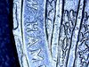 et13p25-8.jpg