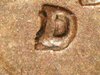 et55d1c-1.jpg