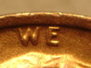DSC01026.JPG