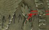 Crop%203.jpg