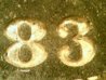 1883-CC_VAM-3_dash_.jpg