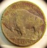 dateless Buffalo 2 find 1.jpg