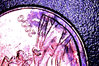 2000 WIDE 4.jpg